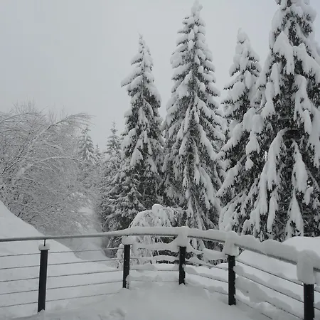 Avenzio * Kappl (Landeck)