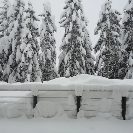 Appartement Avenzio *